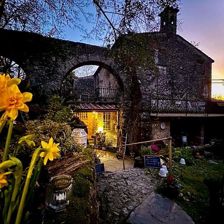 Guest House Antico Frantoio Pietrasanta Affittacamere Εξωτερικό φωτογραφία