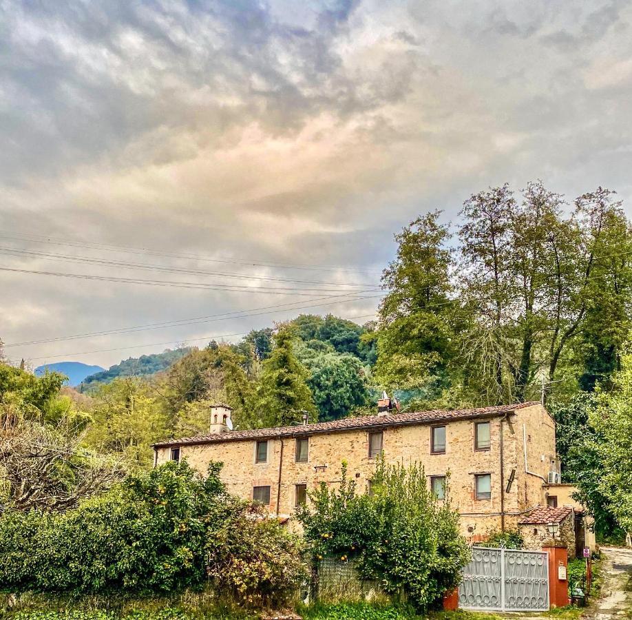 Guest House Antico Frantoio Pietrasanta Affittacamere Εξωτερικό φωτογραφία