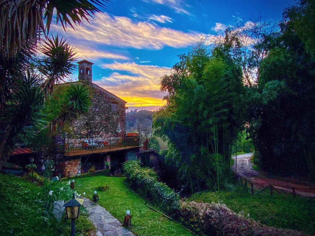 Guest House Antico Frantoio Pietrasanta Affittacamere Εξωτερικό φωτογραφία