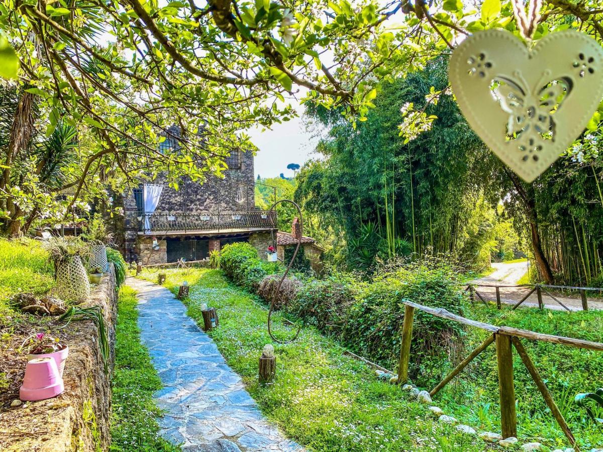 Guest House Antico Frantoio Pietrasanta Affittacamere Εξωτερικό φωτογραφία
