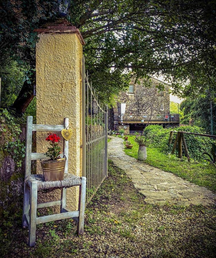 Guest House Antico Frantoio Pietrasanta Affittacamere Εξωτερικό φωτογραφία