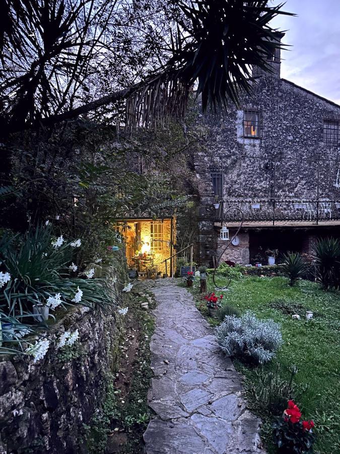 Guest House Antico Frantoio Pietrasanta Affittacamere Εξωτερικό φωτογραφία