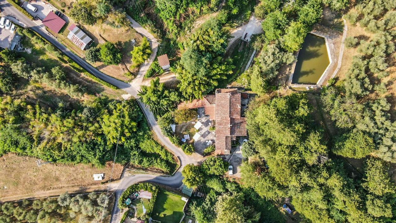 Guest House Antico Frantoio Pietrasanta Affittacamere Εξωτερικό φωτογραφία