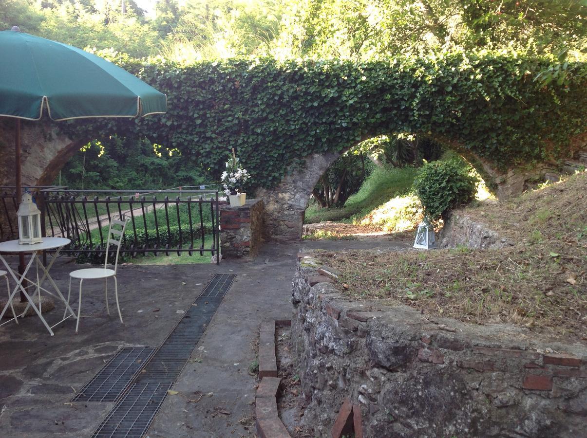 Guest House Antico Frantoio Pietrasanta Affittacamere Εξωτερικό φωτογραφία